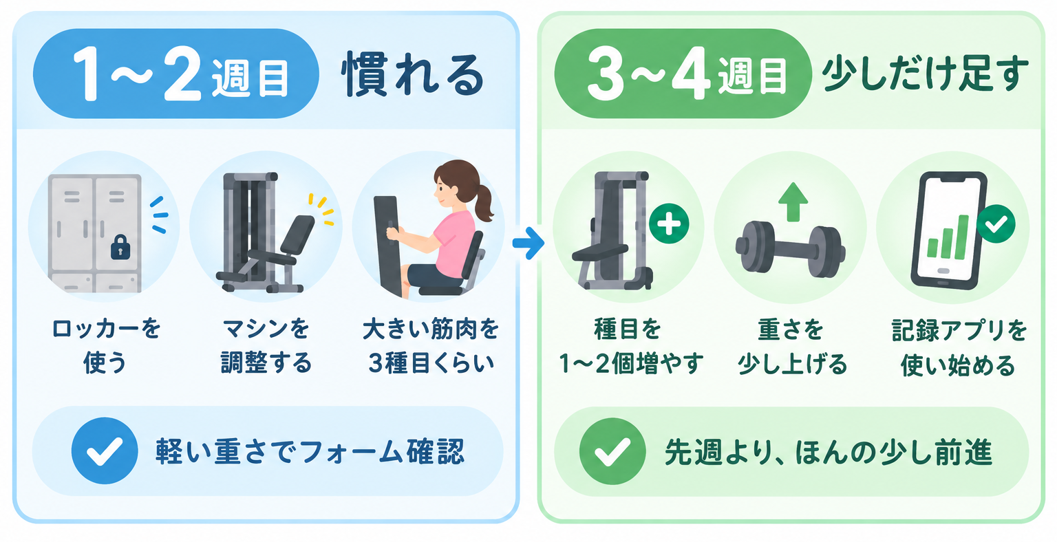 ジム初心者のロードマップ